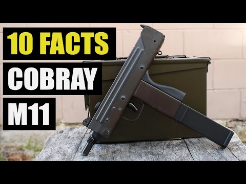 10 Fakten über die Cobray M11 (MAC 11)