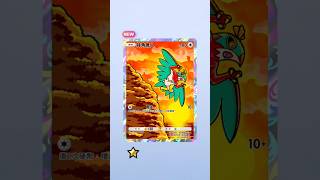 寶可夢卡牌遊戲 夕陽下的摔角鷹人#寶可夢卡牌 #寶可夢 #pokémon #pokemoncards #pokemontcg #抽卡 #摔角鷹人 #ルチャブル #hawlucha