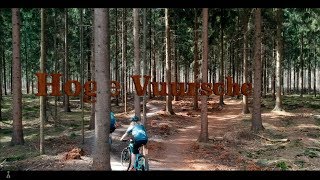 A video tour of the Hoge Vuursche loop.