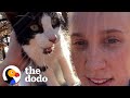 Woman Going For A Jog Finds A Meowing Stray Cat  | The Dodo