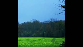 Hazard || Wood / Field / Bridge (2000) Full Album