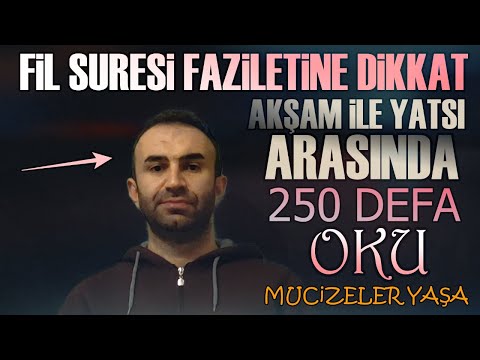 Elem Tere Keyfe Suresi Faydaları saymakla bitmiyor.Akşam İle Yatsı Arası 250 Kere Oku Mucize Yaşa..