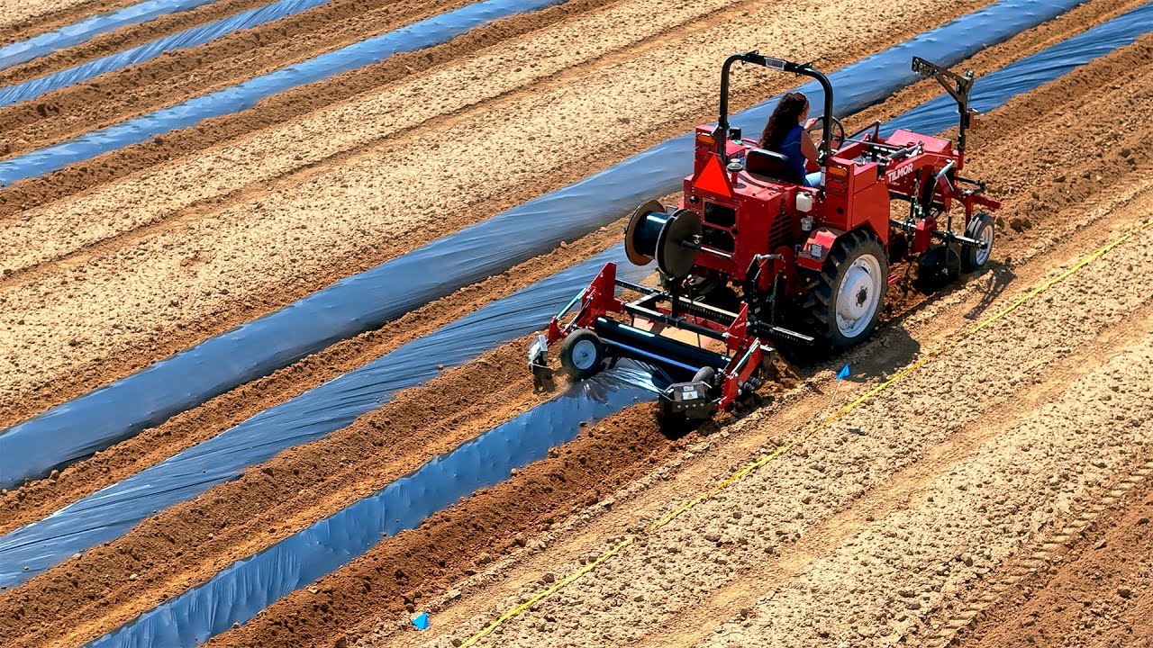 Satisfying Plastic Mulch Application for Small Farms – Tilmor's NEW Plastic Layer