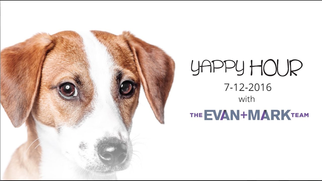 Wardman Residential – Yappy Hour Event