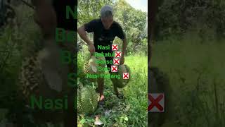 Download lagu Makanan Ayam Di Thailand itu Apa? Trending Short#shortsvideo #funny #comedy #memes #lucu #funnymemes mp3