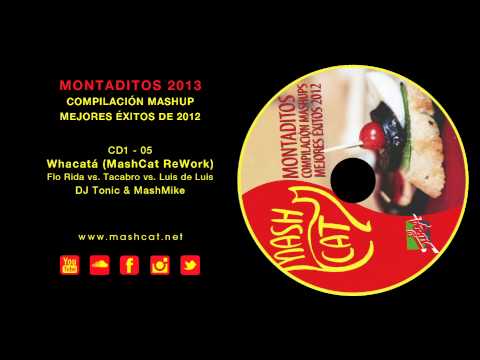 Montaditos 2012 05 DJ Tonic & MashMike - Flo Rida vs. Tacabro - Whacata' (MashCat ReWork)