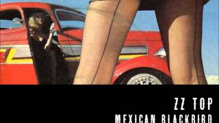 Mexican Blackbird · ZZ Top · Fandango 1975