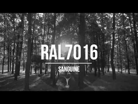 RAL7016 - Sanguine (Beatless Version) - NM2