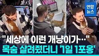 역대급 개냥이