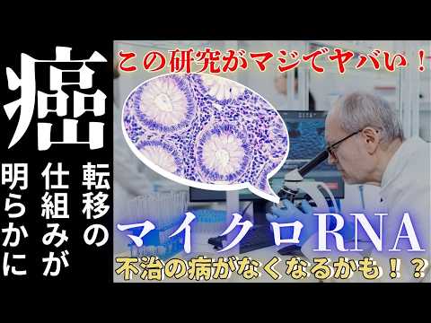 臨床検査学科 【癌・老化】ノーベル生理学・医学賞受賞！マイクロRNA（miRNA）が医療・健康の未来を変える！食事由来のマイクロRNAから見えてくる未来とは！？｜栄養科学の事典