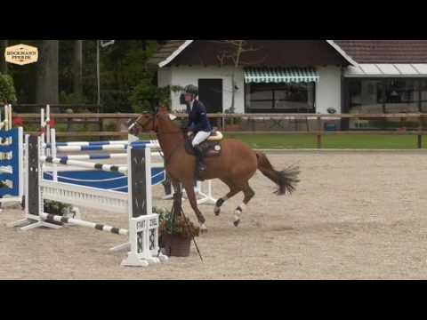 "Chicago White Sox" - Wallach v.Check In x Quattro,geb.2010 - Klein Roscharden