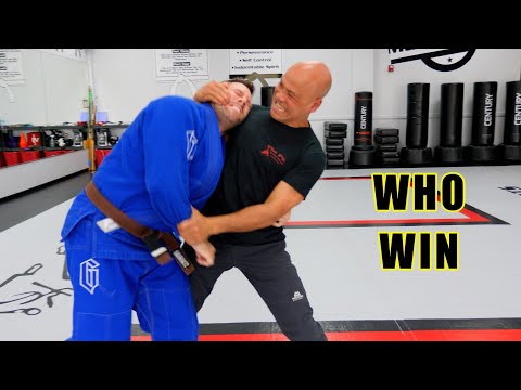Wing Chun vs BJJ Brazilian Jiu jitsu