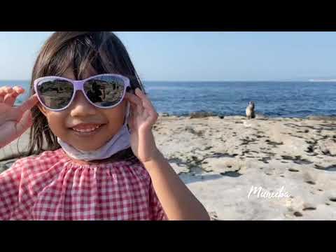 Holiday Highlights 2