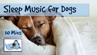 Relaxation Sleep Music for Dogs and Puppies! 30 Minutes of Calming Dog Music