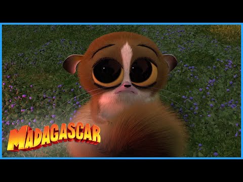 DreamWorks Madagascar | Best of Mort! | Madagascar | Kids Movies