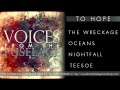 Voices From The Fuselage - Nightfall 