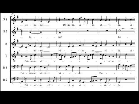 Clemens non Papa: Fremuit spiritu Jesus - Huelgas Ensemble