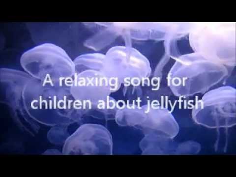 A relaxing children's song about jellyfish, 'Jellyfish Lullabubble' by POCO DROM!