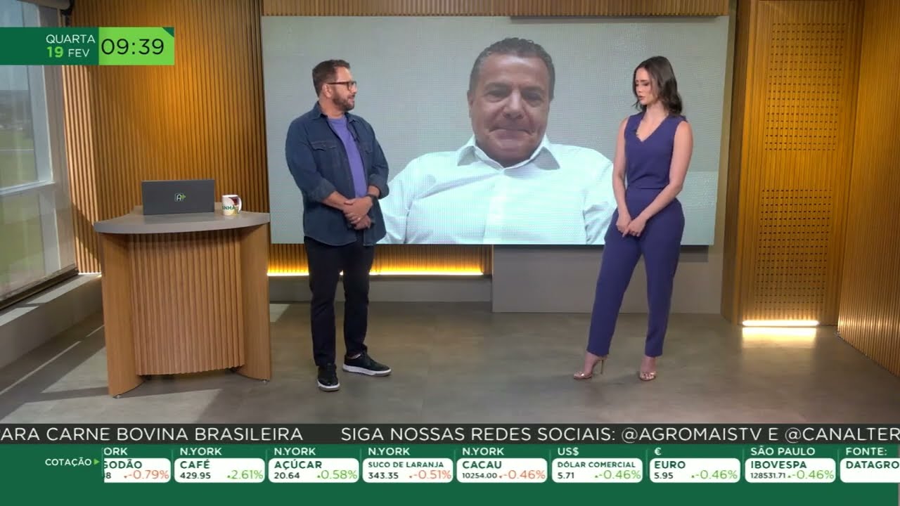 Movimentação no mercado de algodão foi lenta em 2024