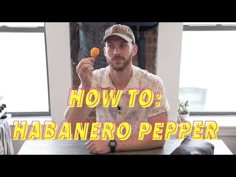 HOW TO: Stuff a Jacket into Self-Stowing Pocket