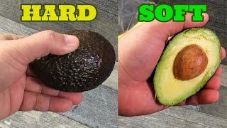 How to Quickly Ripen a Hard Avocado - With This Simple Trick