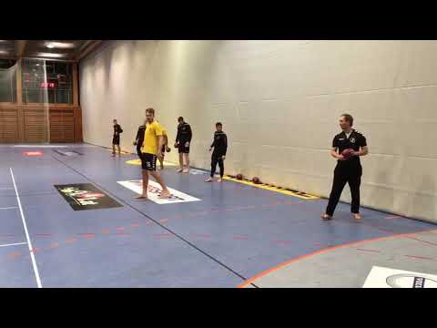 Training/Warm Up mit Bregenz Handball
