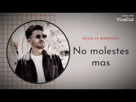 DAVID LA MARAVILLA - NO MOLESTES MÁS (AUDIO OFICIAL)