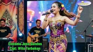 Download lagu Cintamu Joss Gandos - Koplo Dangdut 2026 #dangdutkoplo #koplo #djremix #music @TerbekenChannel mp3 Download lagu Cintamu Joss Gandos - Koplo Dangdut 2026 #dangdutkoplo #koplo #djremix #music @TerbekenChannel mp3