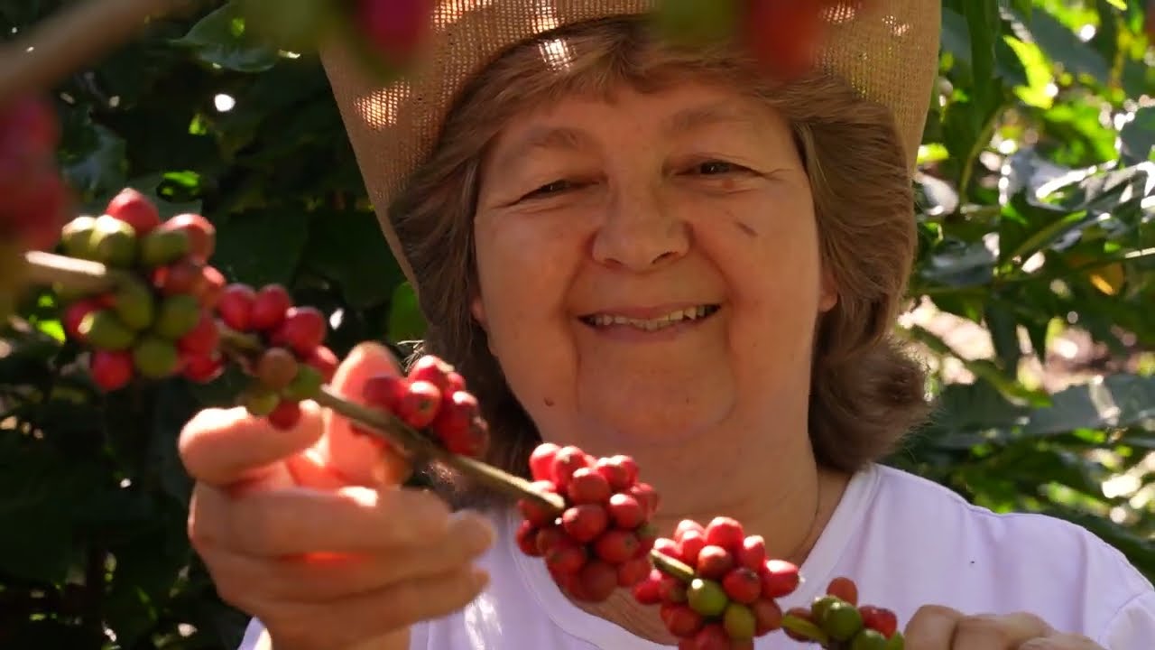 Diversidade na cafeicultura: histórias de amor, resistência e paixão pelo café em Muqui