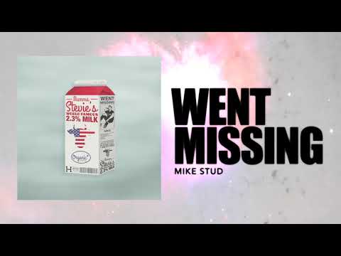 Went Missing - Mike Stud