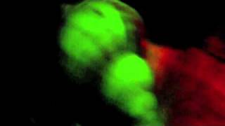 Grinderman - When My Baby Comes