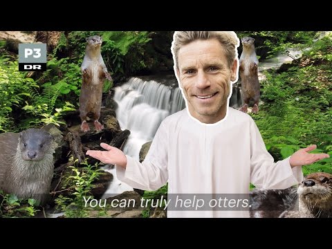 Allan Nielsen: Save the otters | Tue og Tony | DR P3