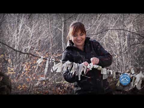 Isposnica SVETOG SAVE | Na obroncima planine Radočelo | SA VANJOM U PLANINE Ep.08