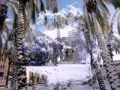 Marina-Ariela Melamed Snow in Jeruzalem 