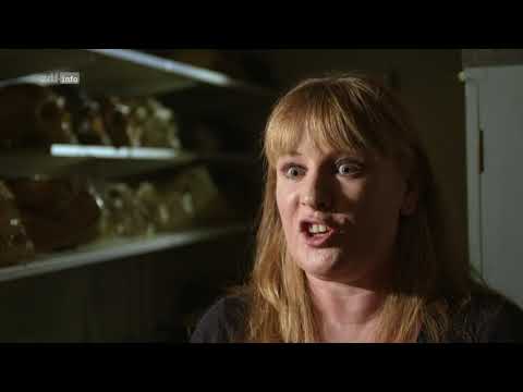 DNA-Spuren in die Geschichte: Erbe der Steinzeit Doku (2021)