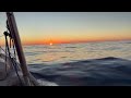 Dolphins at Sunset - Nov 2025