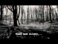 Forest of Shadows - Eternal Autumn [lyrics] 
