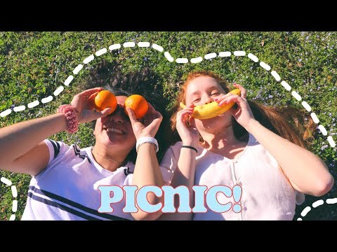 picnic with friends + carpool karaoke