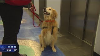 Hometown Hero:  Skeeter