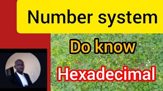 Unlocking the Hexadecimal System. | Base-16 Numbering System Explained.