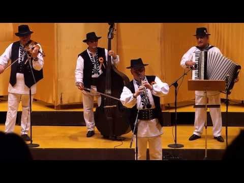 Grupul instrumental CRAI NOU din Alba Iulia : solist Damian Gică part.2