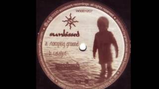 Sunkissed - Stomping Ground