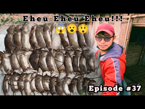 Zan hnihna: Hualtu rama Zupawl thang kam hmuhnawm| Vaithang kam Episode #37