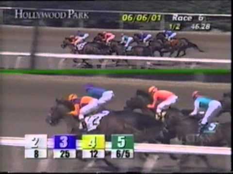 Replicate Maiden Hollywood Park