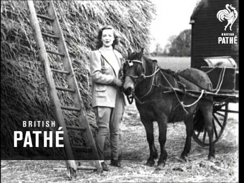 Florence Desmond & Flanagan And Allen Issue Title Is Airs And Graces (1943)