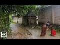 Walking In The Very Heavy Rain Village Rain Video Rainy Day Village Life