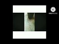Ex Josh Sound Honda Dio Short Loud Sound Honda Dio Dio Ek Josh Short Video Status Boy