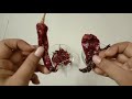 Difference Between Lavangi Bedgi Kashmiri Mirchi