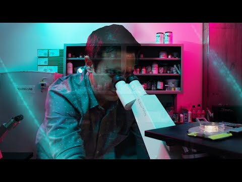 SAXX | PELLING - Create Something Better FEATURE