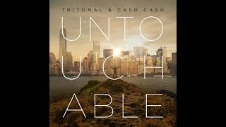 1 Hour Rave Loop: Tritonal x Cash Cash - Untouchable